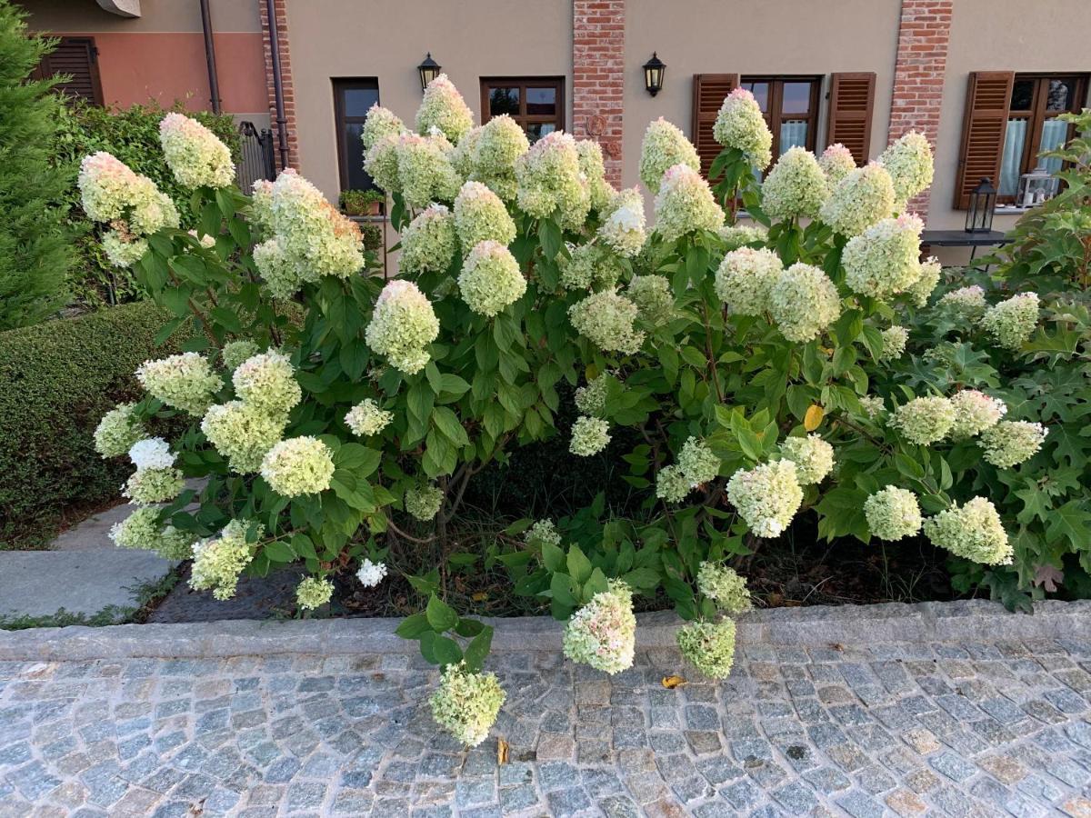 Agriturismo Sarmore Salmore エクステリア 写真